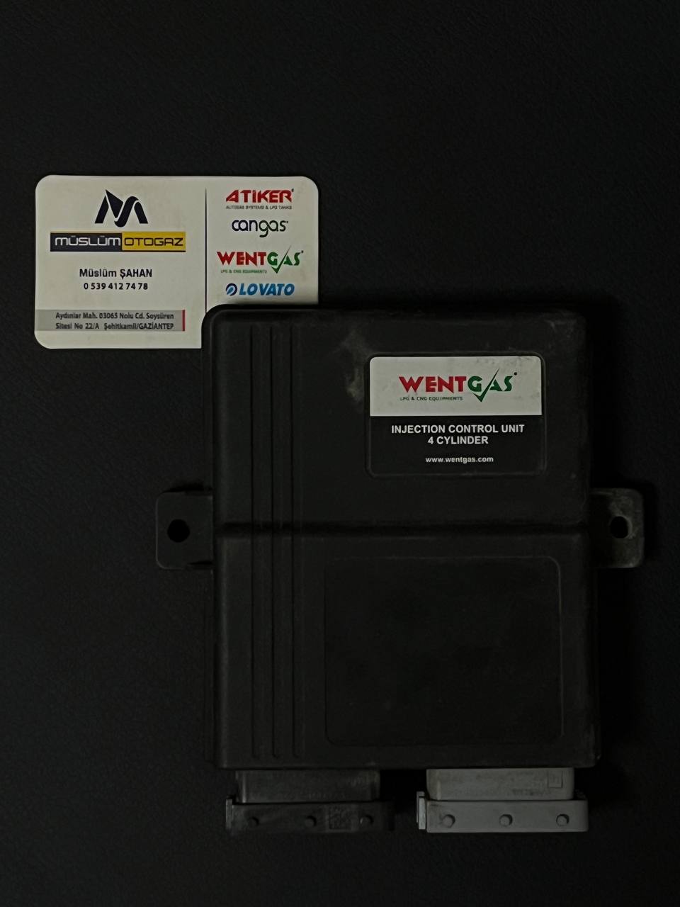 Wentgas 4 Silindir Ecu Beyni (Çıkma )