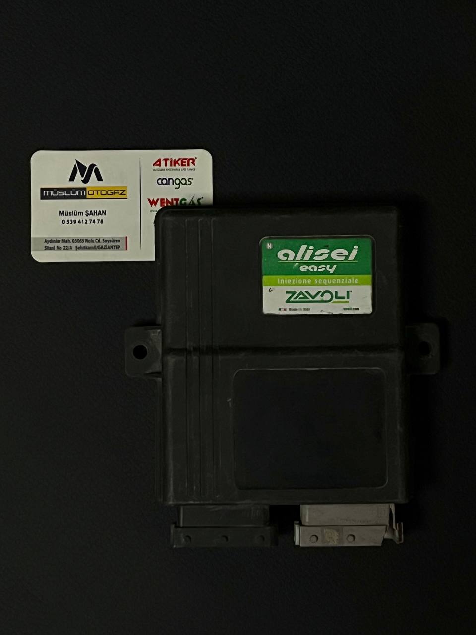 Zavoli Alisei Ecu Beyni (Çıkma)